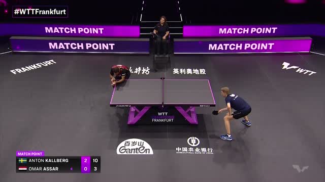 Table Tennis WTT