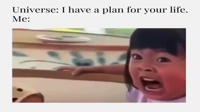 is that your plan?